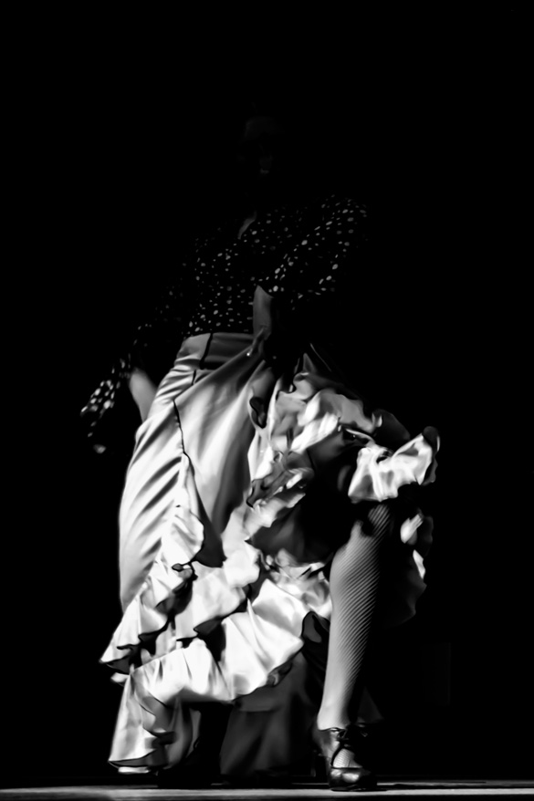 Sesiones de fotografía creativa, flamenco, blanco y negro, Maii, into the wild